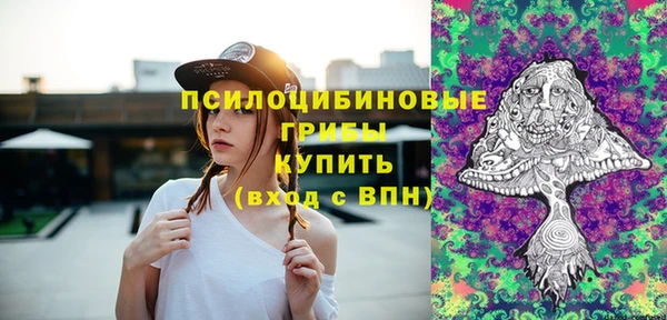 прущий лед Арсеньев