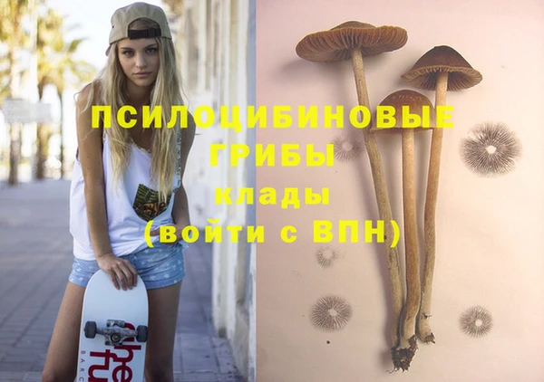 прущий лед Арсеньев